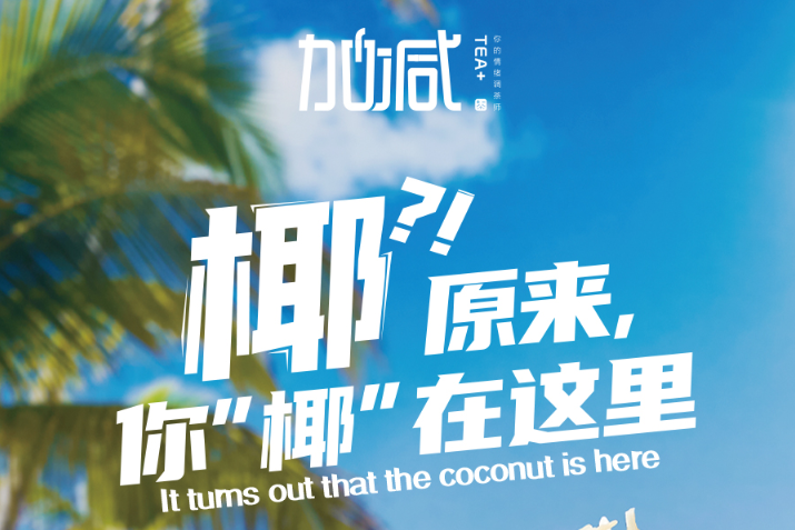 中国·3003新葡的京椰子系列新品火爆上市